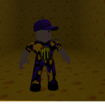 Y13