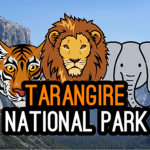 Tarangire National Park