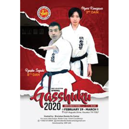 Karate Martial Arts School's Of Karate Do