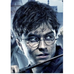 Harry Potter Fan Group 2.0