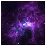 mr galaxy man gang