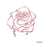 Rose [G:BN]