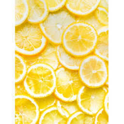 🍋500 VISITS🍋 Lemonade Simulator