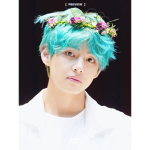 BTS Bv