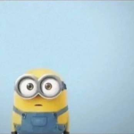 Avas friends.