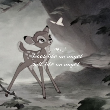 ❤︎