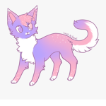 The kitten crazy