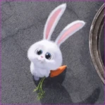 L-players Group Thumbnail