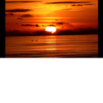 sun set group :)