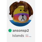 Bruh moment 131313