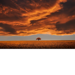 My screenshot on my game..