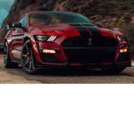 Shelby mustang team