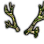 Antlers Nation