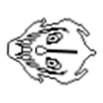 Gaster blaster gang
