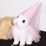Hello Radish