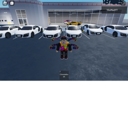 The Car Dealership