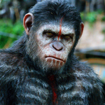 THE APE UNION.