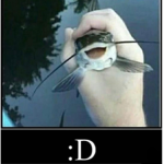 THE FISH BOIS