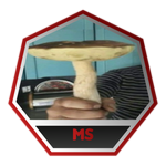 Beat The Mush Stepl (Unobtainable)