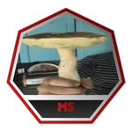 caption=Badge