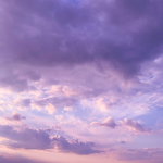 lilac mist