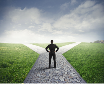 choose your path obby
