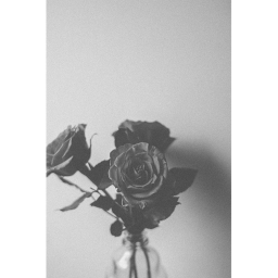 anymore
