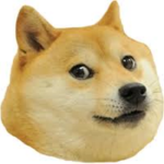 Doge Gameing Studios