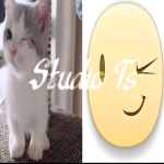 Studio TS