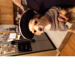 Chihuahua fan club(aka little demon dogs)