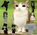 /meowl