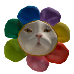Rainbow Flower Cat