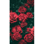 The little roses! :)
