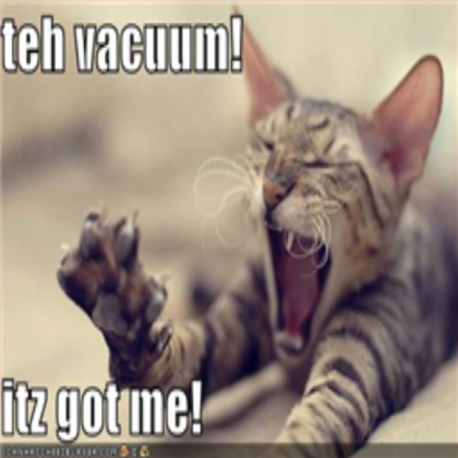lolcat funny Roblox decal