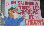 Team Doge Peru Nacion
