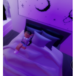 ~Aesthetic Roblox Queen~