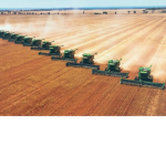 Grain Associated Farmers Enterprise Royalties