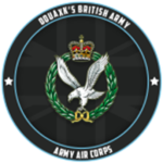 |AAC| 1st Ground Brigade