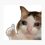GROUP OF CATS FANS