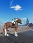 Sunny Stable Riders