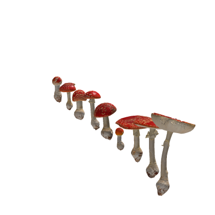 Red Mushrooms Pack PBR Mario Star Koopas Luigi 