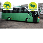 Green Elephant