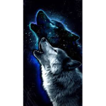 The wolf spirit club