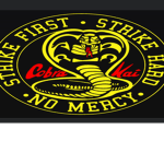 Cobra Kai fans kids only