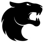 FURIA esports