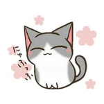 We <3 Cats so much!