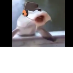 Hehehehaw lol