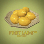 FRUIT LAB'S