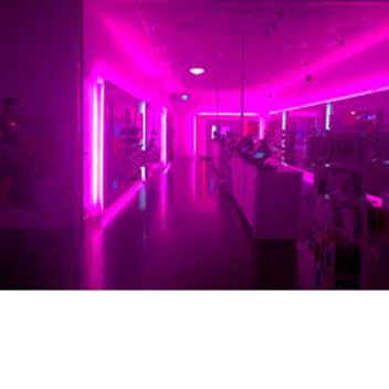 Lexi's Homestore ($5 robux)