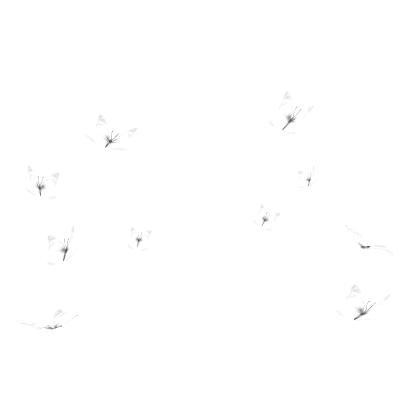 🦋 White Butterflies